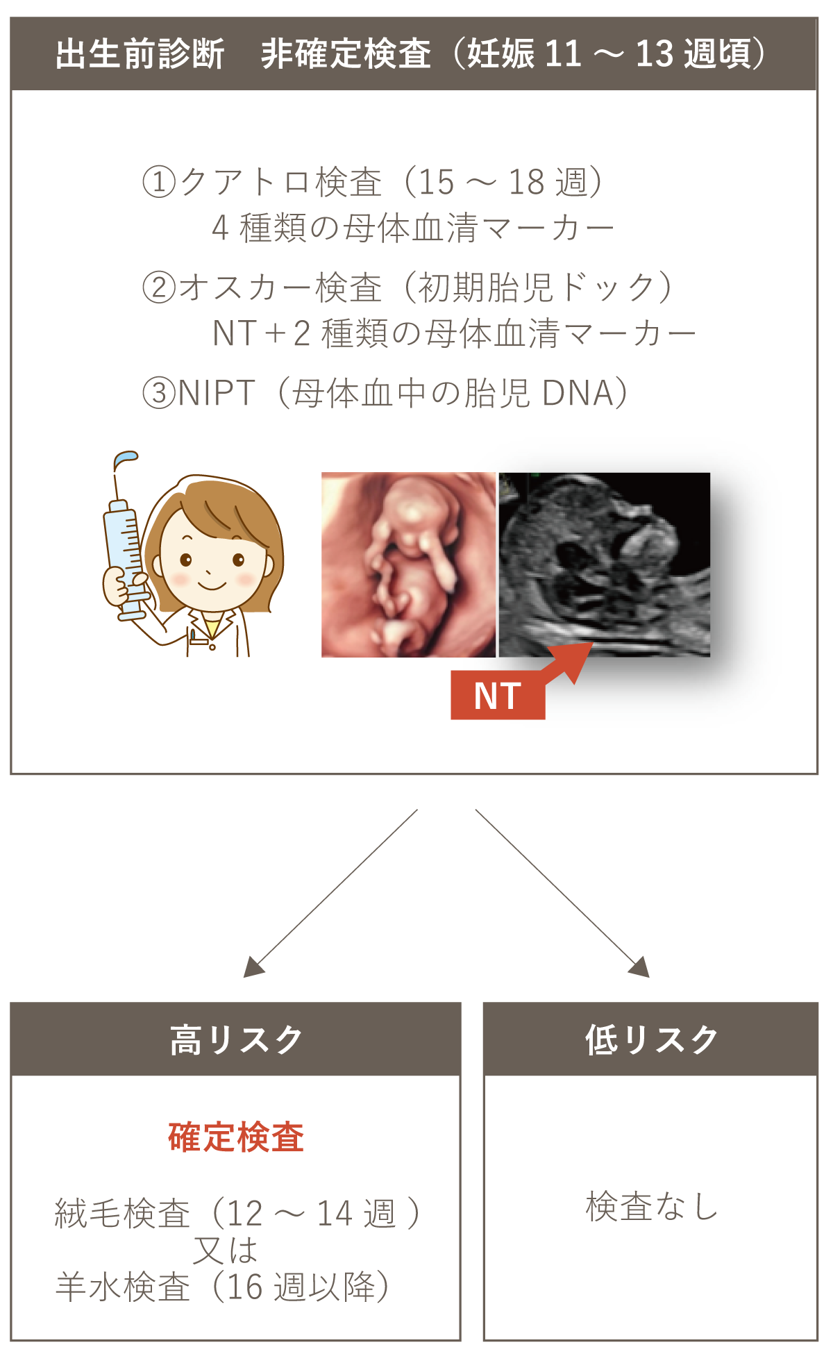 出生前診断　検査の流れ